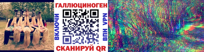 купить  цена  Лиски  Псилоцибиновые грибы Psilocybe 